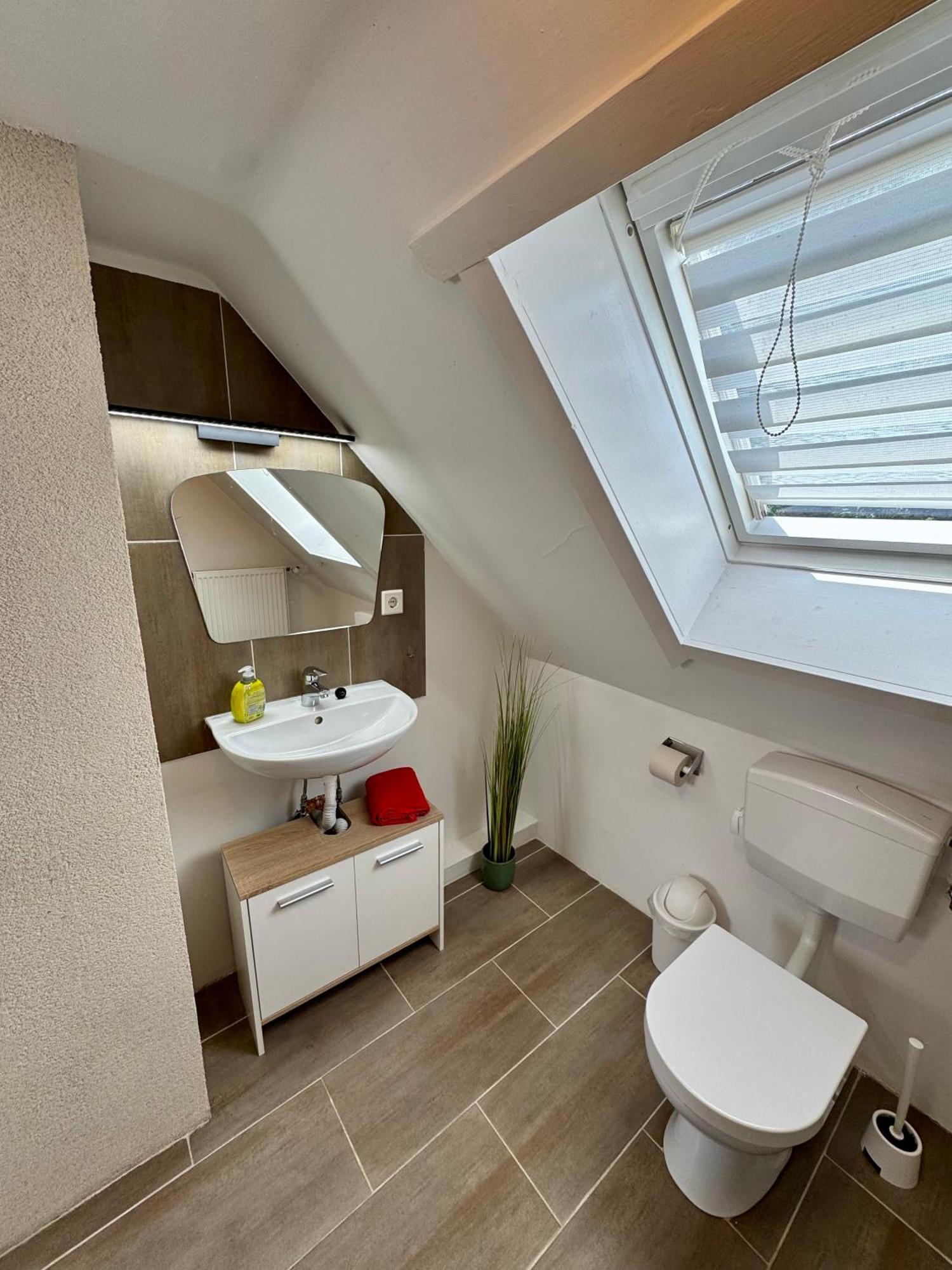 Apartment Waldkauz - Altenau アルテンアウ エクステリア 写真